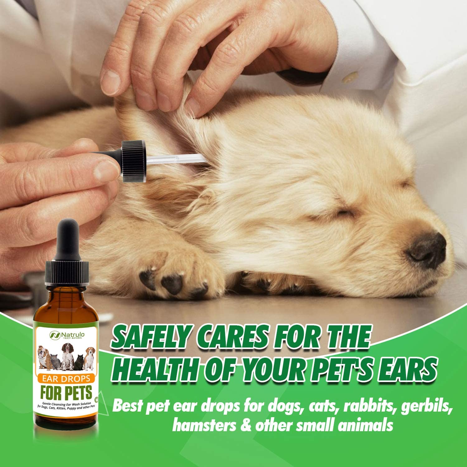 Ear drops for top dogs ears